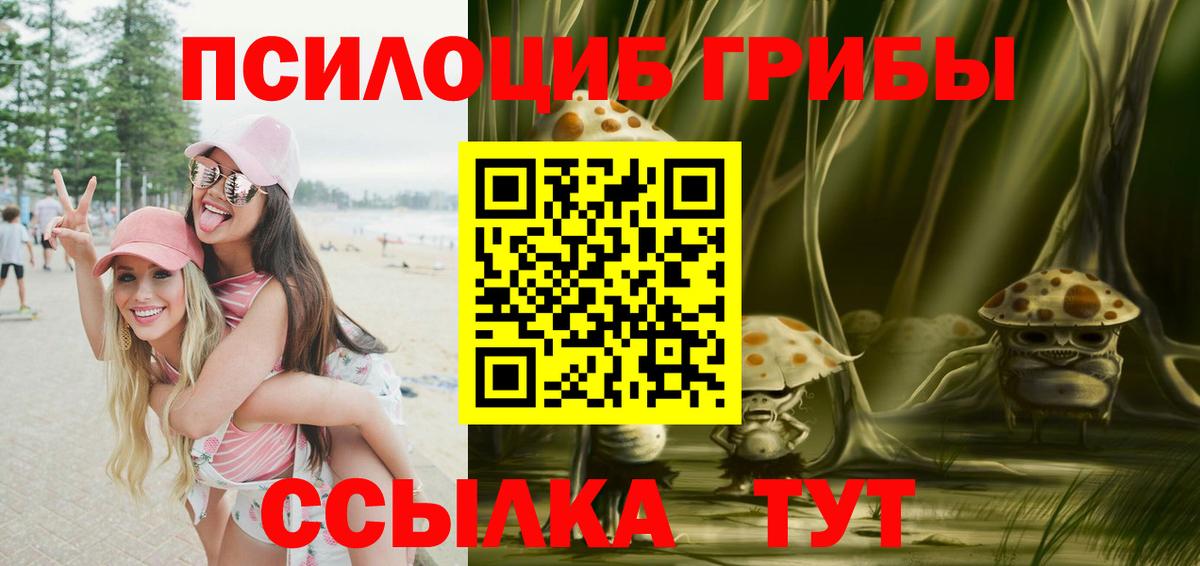 Псилоцибиновые грибы прущие грибы  Вход с VPN  Апшеронск 